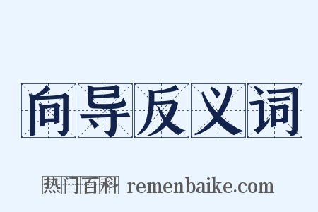 向导反义词是什么意思的图片